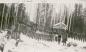 P2011.40.9: Hugh Stroud & Eymundson children on Sled Island with fox and lynx pelts, 1924