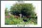 Best Vegetable Garden- Bill & Ellen Kemp.