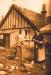 Guest of the Duxhurst Farm Feeding the Chickens.