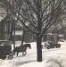 Bread wagon and Snow Plough in Ottawa, ca 1952