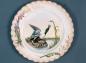 ''Game Plate, Shoveler Duck, painted for Lady Ishbel Aberdeen'' 1896