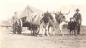 ''John C. Hagen (at left) with oxen and cart, Mahone Bay'' (no date)