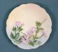 'China Plate with clematis'' (no date)