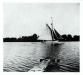 Sailboat on the St John River