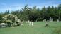 Whites Cove Cemetery
