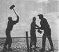 Several men pounding the stakes, that secured the nets, down into the mud flats.