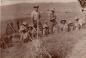 Australian soldiers,  (Island of Lemnos) Gallipoli campaign, photo taken by Fr. Donald MacPherson