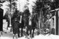 Winter Logging, North Shore, Nova Scotia, Canada