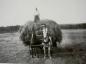 Farming in the late 1800's, North Shore, Nova Scotia, Canada