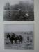 1) FARMING -The Early Days, North Shore, Nova Scotia, Canada