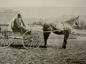 Farmer J. Bell, New Annan, Nova Scotia, Canada