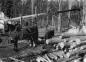 Logs Waiting Processing, North Shore, Nova Scotia, Canada