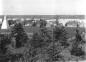 View over looking the Wallace Harbour from the quarry hill.