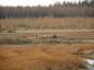 Dykes on Fox Creek, Fox Harbour; possible site for an old Acadian mill