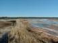 Top of Tuttle Creek Dyke facing north-east; dyke fronts on Wallace Bay, facing north-east gales