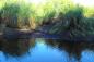 Dewar River drainage ditch at extremely low tide, carved 300 years ago