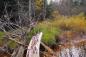 Aboiteau in an Acadian Dyke