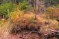 Erosion's effect on 300 year old Acadian Dyke