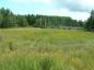 This lush marsh land on facing south on Dewar River was important for hay production