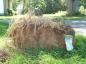 A block of marsh sod showing one half metre root length; twenty dollar bill gives some perspective