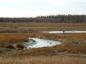 Jim Reeves walking along dyke at Fox Creek to mark point of possible18th century mill dam