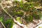 Foundation stones from Steven's Hill on Dewar River