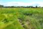 Rich marshland at Remsheg Bay, first seen by Acadian farmers in about 1710