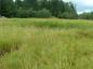 Rich soil, worked by Acadians before 1755, provided great lands for farmers of the Remsheg Grant.