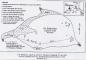 Sheldrake Island(map of J. Davidson, Miramichi)