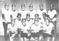 Seedcoats Fastball Team