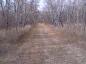 Current picture of the Carlton Trail at Batoche leading to South Saskatchewan River. 