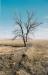 Pioneers use water  in an early flood irrigation project (earthen dike to catch spring runoff)