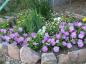 People used local  rocks to decorate yards and flower beds.