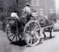 Red River carts were pulled by animals