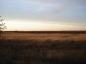 Tall grass hay in Foam Lake Marsh