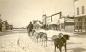 Unidentified Trapper with Dog Sled Team