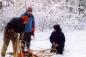 Dog Sled Try Out