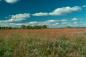 Prairie landscape
