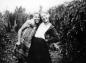 Friends picking hops together, Mary Martin and Joan Marcellous