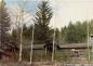 Noel Cabin in 1980