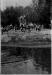Boys' Pond Thomson's Park West Fernie ca 1942
