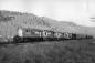 CP Rail Engines No. 8831, 8504 and 8489 on the Castlegar to Midway run