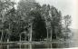 Cottonwood trees line the banks of the Kettle River and can withstand the spring flood