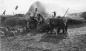 Threshing up at the Weed Ranch