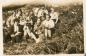 Students of Ioco School take a field-trip, hiking Eagle Mountain in 1928.