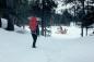 Snow Survey