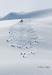 Heli-skiing with Canadian Mountain Holidays