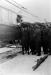 An injured man being removed from the hospital train in Edmonton