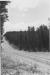 Logging road.