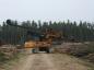 Delimbing the cut trees.